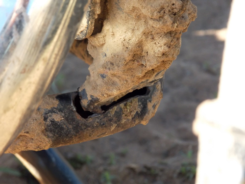 Bayan Onjüül - Mi Casamiento Mongol