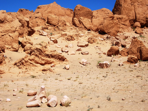 Entre los nómades y los dinosaurios