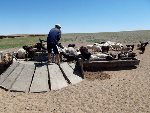 Entre los nómades y los dinosaurios