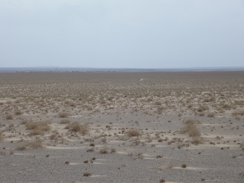 Ongiin Khiid - El río del desierto