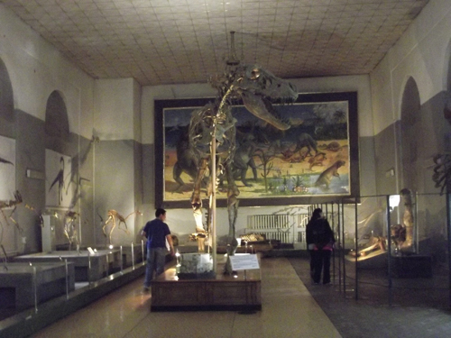 Ulaanbaatar – Poco y Naadam