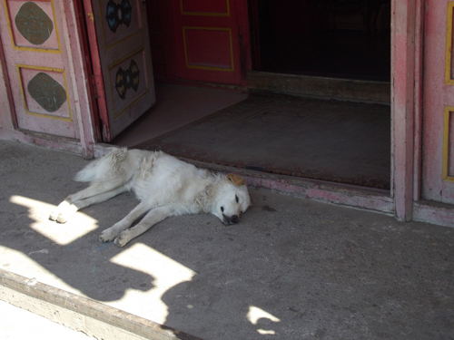 Ulaanbaatar – A hard day’s night