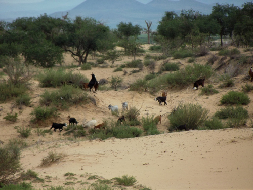Khögon Khan Uul – Un poco de paz…